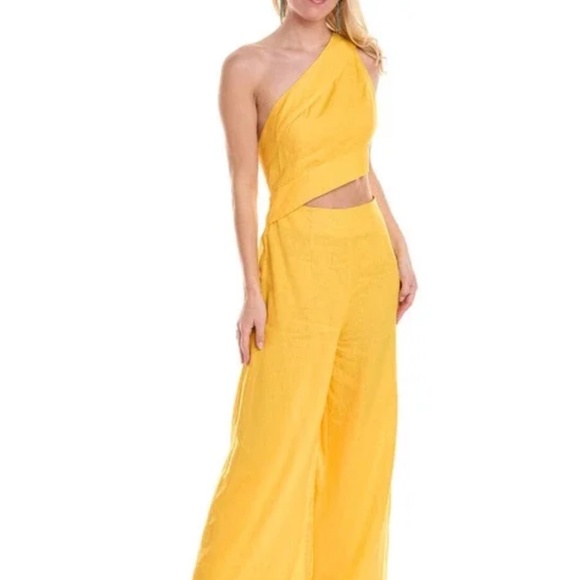 Farm Rio Asymmetrical Jumpsuit, Back Zip Closer - Picture 13 of 14